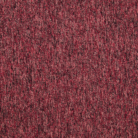 Latour 2 Plains - Cheviot Nylon Loop Pile Carpet Tile