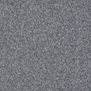 Gerflor Predator Hawk Econly Tufted Loop Pile Carpet Tile
