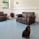 Polyflor Safety Flooring – Slip-Resistant, Graphite Pearl