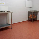 Polyflor Safety Flooring – Slip-Resistant, Graphite Pearl