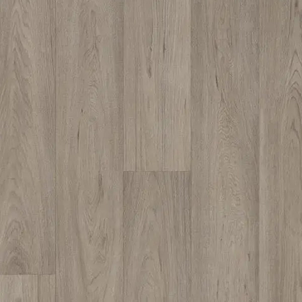 Forbo Eternal Original Grey Oak Heterogeneous Sheet Vinyl Floor Covering Roll