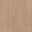 Forbo Eternal Original Grey Washed Oak Heterogeneous Sheet Vinyl Floor Covering Roll
