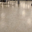 Forbo Eternal Original Natural Oak Heterogeneous Sheet Vinyl Floor Covering Roll