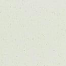 Palettone PUR Woodland Air Heavy-duty Homogeneous Vinyl Flooring With Tonal Chip Decoration Roll